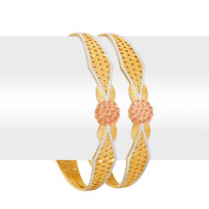 22k Gold Vibrant 3-Tone AU Bangles